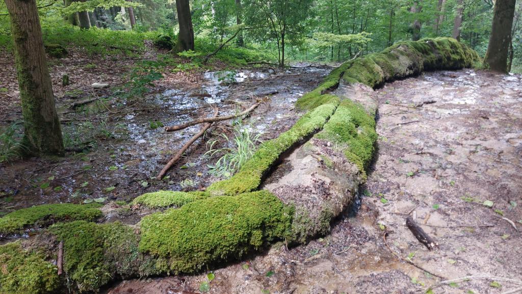 Sich talwärts schlängelnde Rinne